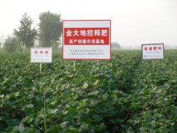 20101230132252161.jpg