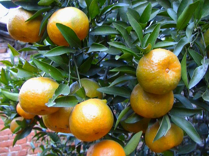 ��Ԫ�ع���Ը̽���ʲôΣ�����̽�ʩ������Ⱥ�