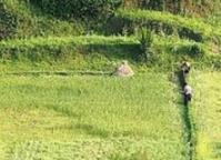 ɽ��ũ����ʩ����������Щ��ũ����ʩ����������