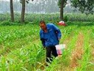 ʩ��̼�����ΪʲôҪǿ����ʩ��������ѧʩ��̼�����