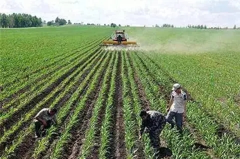 山东省玉米区域大配方与施肥建议