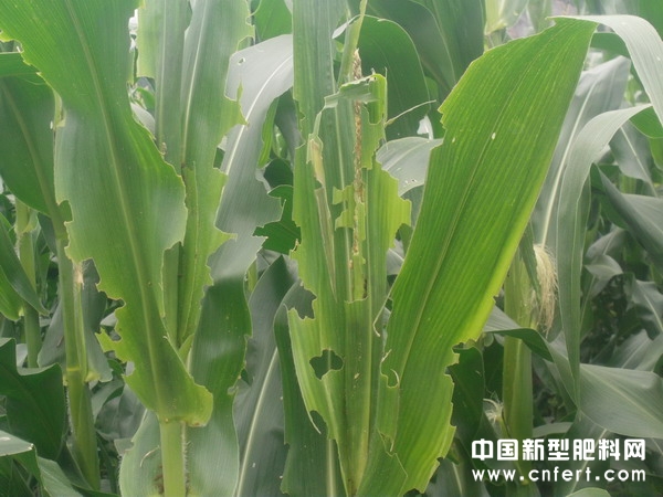 20120712151635326.jpg