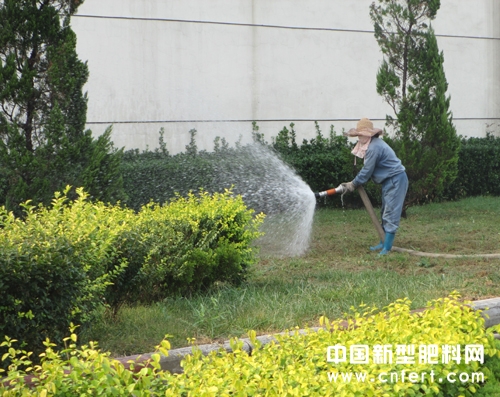 图为该公司绿化人员在用处理后的生产污水浇灌绿地.jpg
