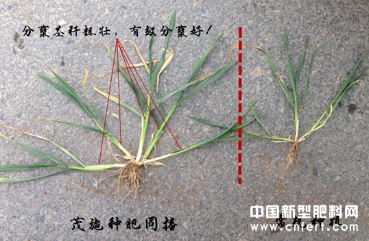 QQͼ20140423111321.jpg