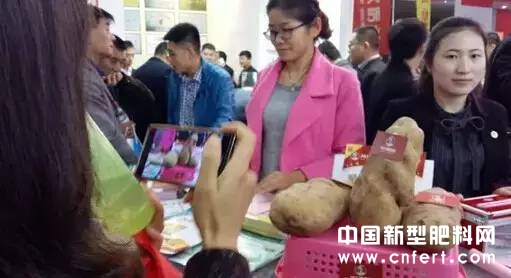 磷复肥展会亮点多2.jpg