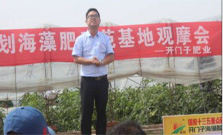 减肥、增效、提质新时期下海藻酸肥料产业化发展风景这边独好3666.jpg