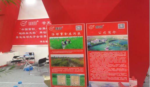 零售之下无竞争，再论肥料转型11132316.jpg