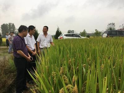 重庆璧山区召开2020年化肥农药减量现场观摩会