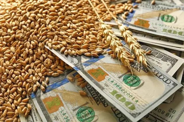 天然气危机影响化肥生产，法国小麦种植者担忧明年肥料供应