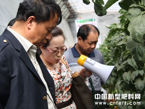 13现场观摩福瑞科技产品示范试验效果.JPG