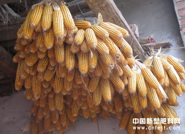 QQͼ20130308122958.jpg