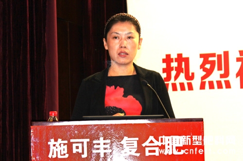 83.jpg