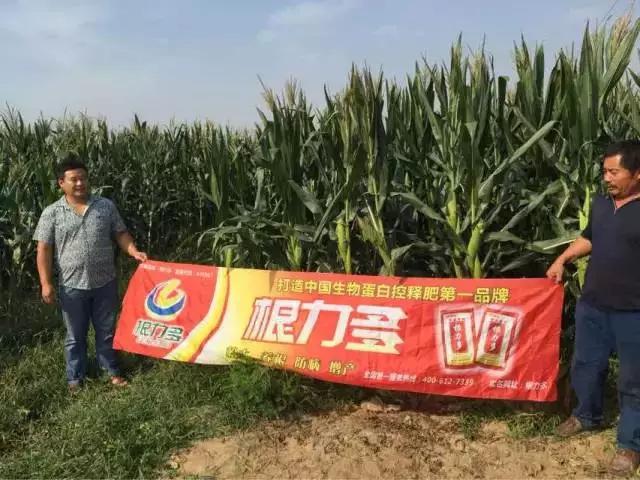 ͼƬ9.jpg