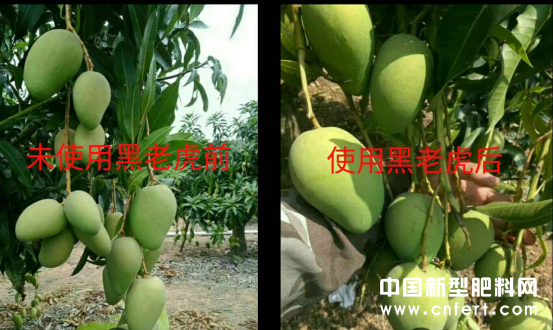 落实精准扶贫 江西瑞博特在行动(1)1335.png